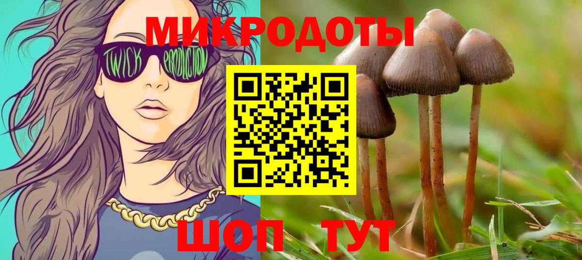 Галлюциногенные грибы мицелий Сегежа